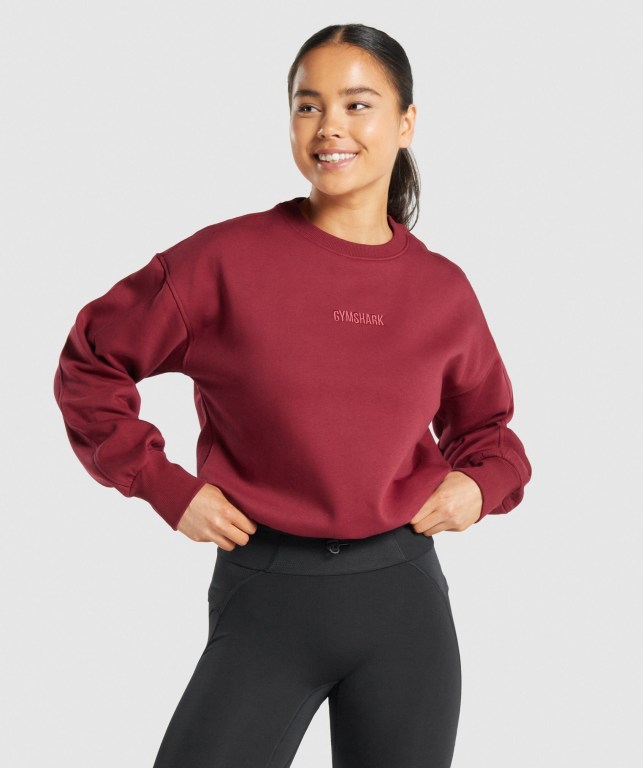 Gymshark Pulse Kapüşonlu Sweatshirt Kadın Bordo | 569-GRYCPU