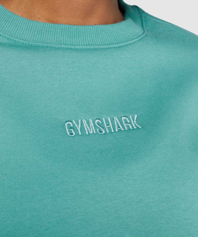 Gymshark Pulse Kapüşonlu Sweatshirt Kadın Turkuaz | 861-ADTCMF