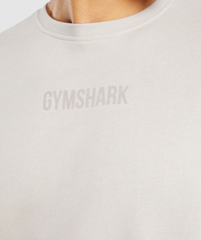 Gymshark Restore Sweatshirt Kapüşonlu Sweatshirt Erkek Gri | 328-UNRMOB