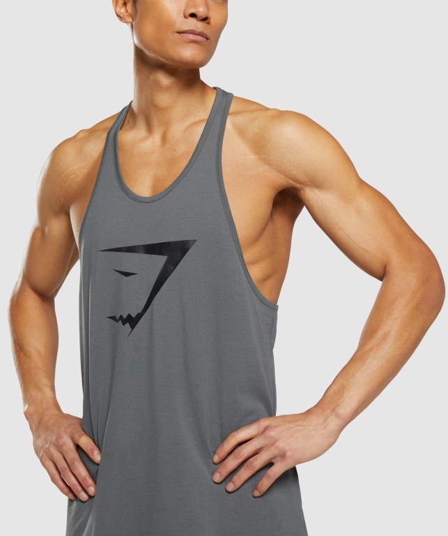 Gymshark Sharkhead Infill Atlet Erkek Gri | 607-WBJINX