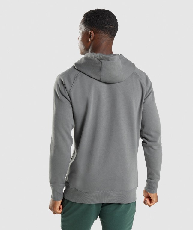 Gymshark Sharkhead Infill Kapüşonlu Sweatshirt Erkek Gri | 149-COJWXK