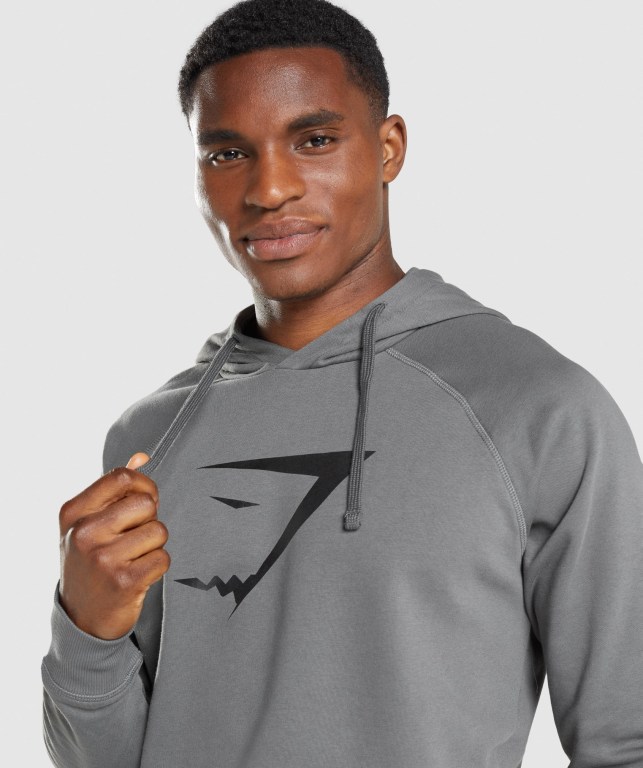 Gymshark Sharkhead Infill Kapüşonlu Sweatshirt Erkek Gri | 149-COJWXK