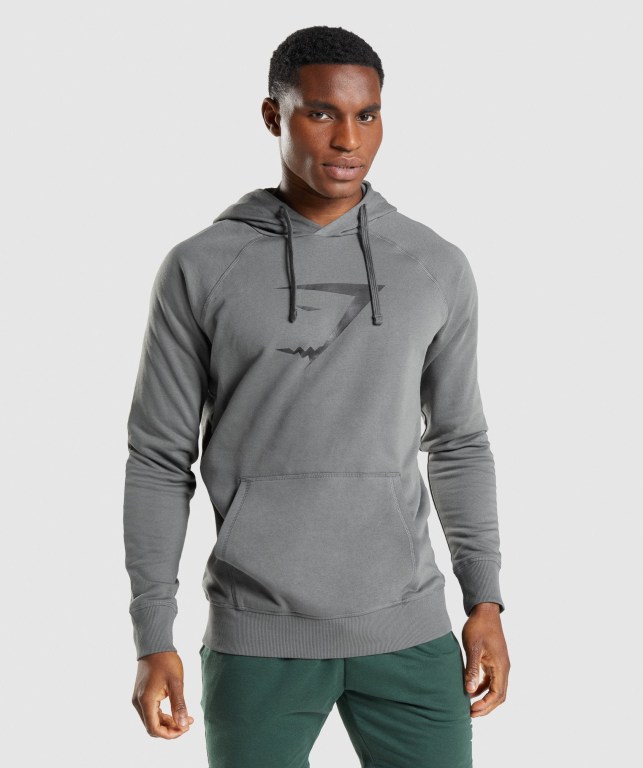 Gymshark Sharkhead Infill Kapüşonlu Sweatshirt Erkek Gri | 149-COJWXK