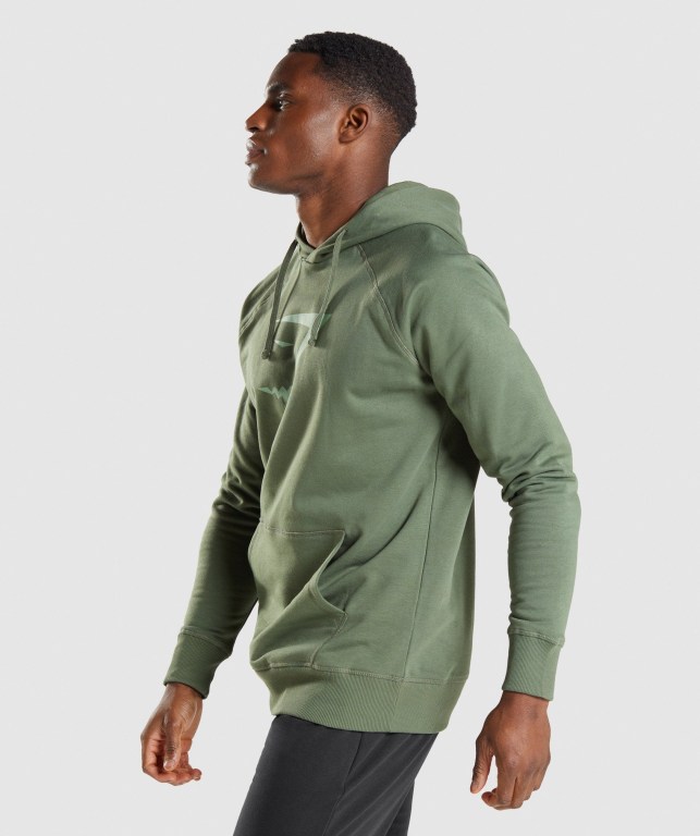 Gymshark Sharkhead Infill Kapüşonlu Sweatshirt Erkek Yeşil | 236-CAUMRX