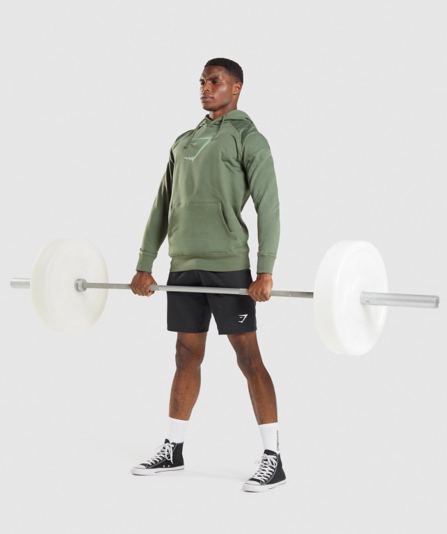 Gymshark Sharkhead Infill Kapüşonlu Sweatshirt Erkek Yeşil | 236-CAUMRX