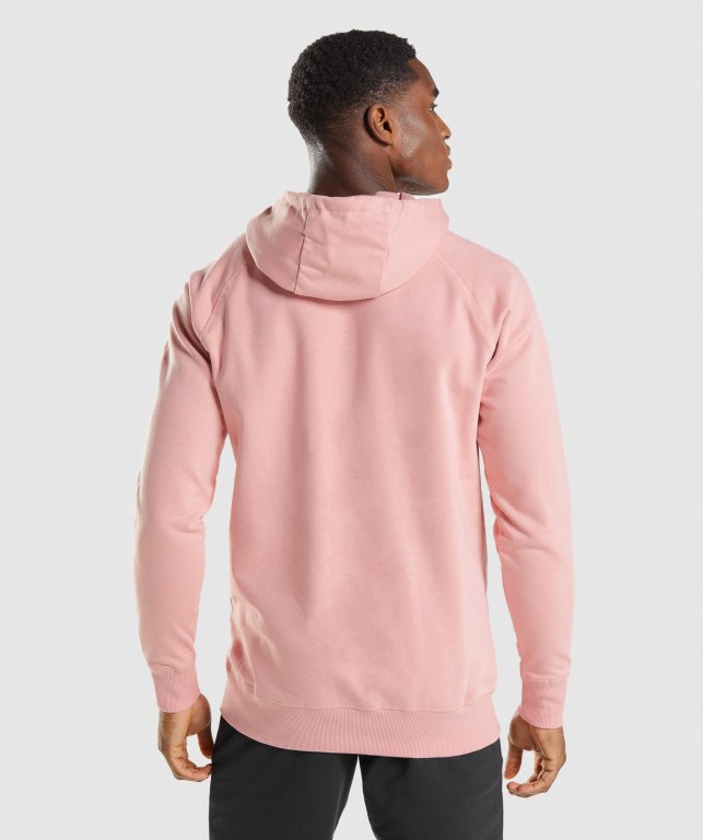 Gymshark Sharkhead Infill Kapüşonlu Sweatshirt Erkek Pembe | 456-GABUKX