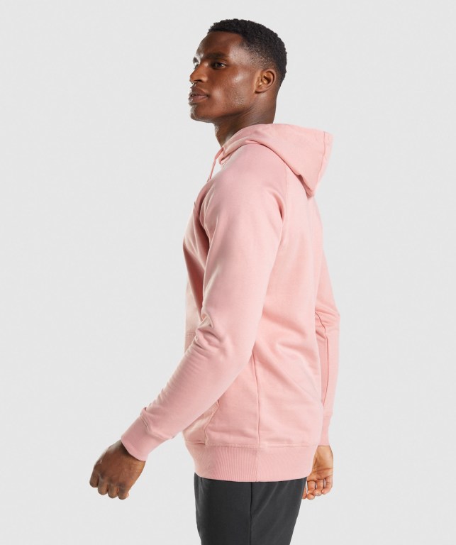 Gymshark Sharkhead Infill Kapüşonlu Sweatshirt Erkek Pembe | 456-GABUKX