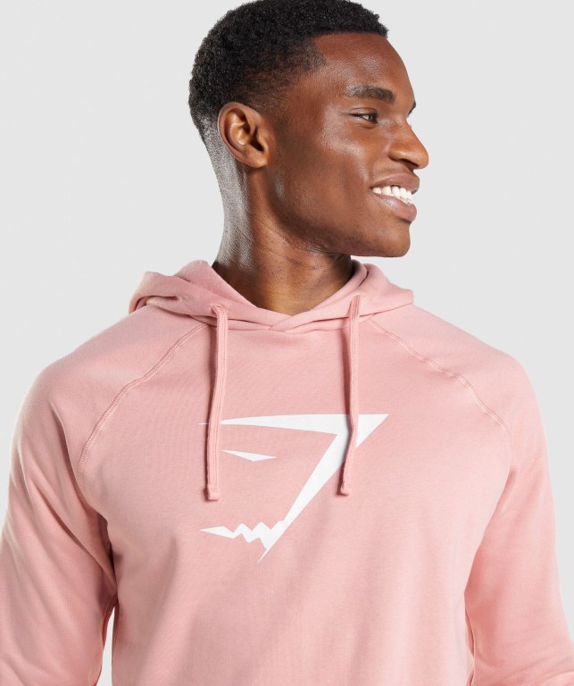 Gymshark Sharkhead Infill Kapüşonlu Sweatshirt Erkek Pembe | 456-GABUKX