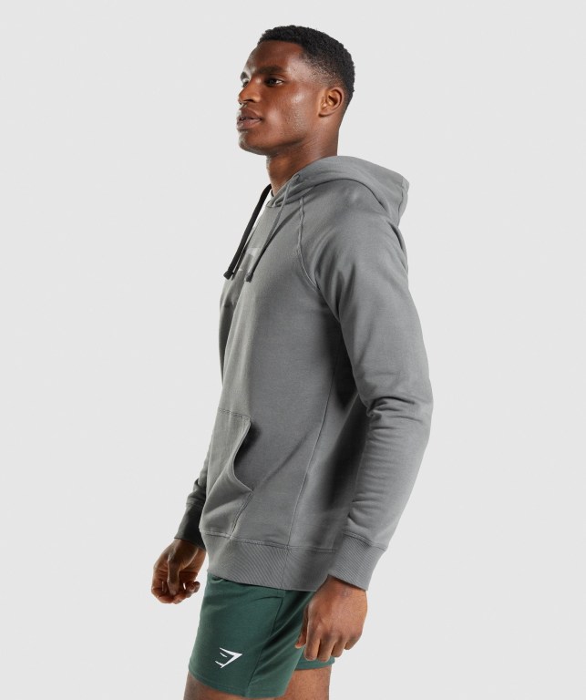 Gymshark Sharkhead Infill Kapüşonlu Sweatshirt Erkek Gri | 530-UFAYBG