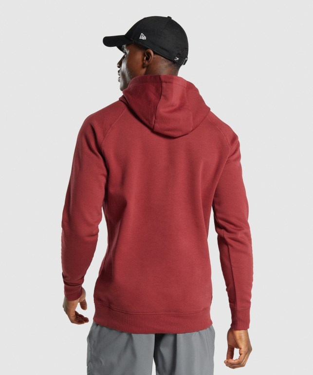 Gymshark Sharkhead Infill Kapüşonlu Sweatshirt Erkek Bordo | 931-BTRHXK