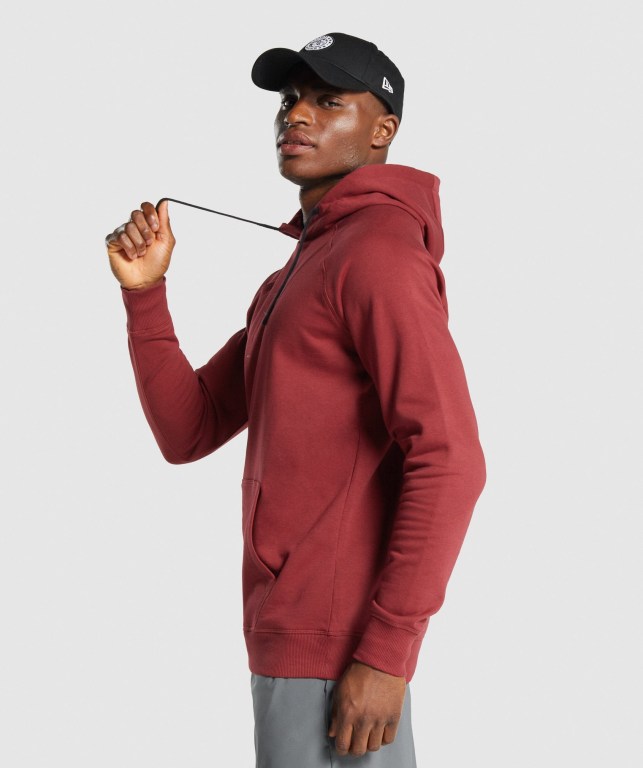 Gymshark Sharkhead Infill Kapüşonlu Sweatshirt Erkek Bordo | 931-BTRHXK