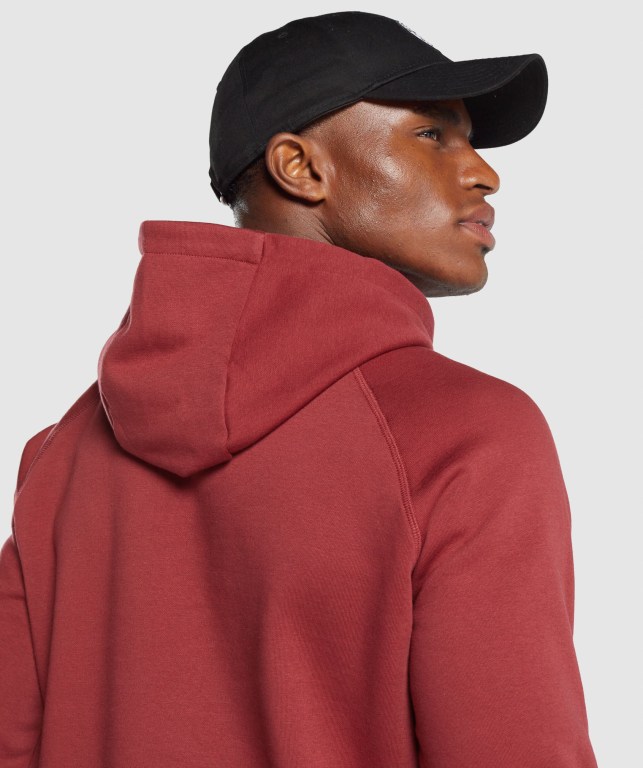 Gymshark Sharkhead Infill Kapüşonlu Sweatshirt Erkek Bordo | 931-BTRHXK