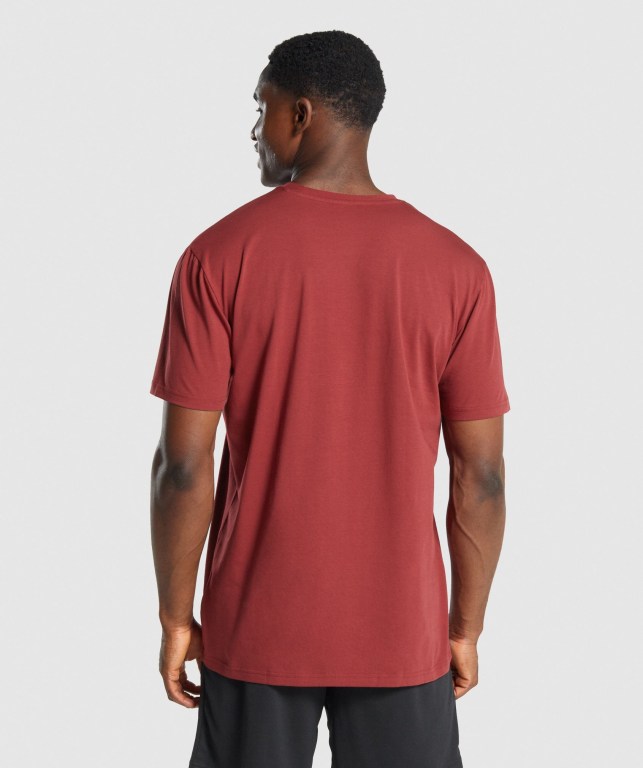 Gymshark Sharkhead Infill Tişört Erkek Bordo | 346-FNETPW