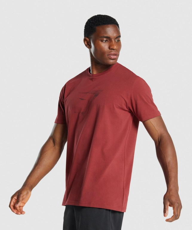 Gymshark Sharkhead Infill Tişört Erkek Bordo | 346-FNETPW