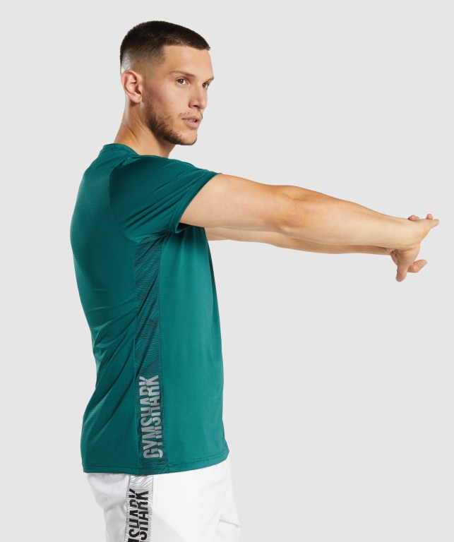 Gymshark Spor Tişört Erkek Turkuaz | 768-UVEGFQ