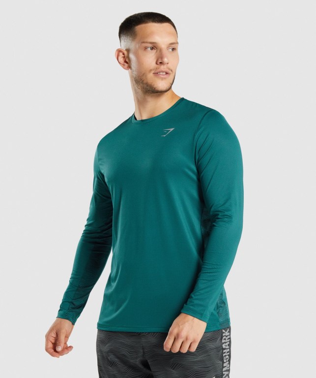 Gymshark Spor Tişört Erkek Turkuaz | 769-EPUZYH