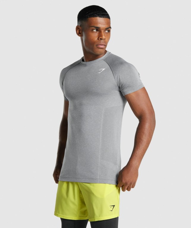 Gymshark Vital Light Seamless Tişört Erkek Gri | 269-SDBNAU