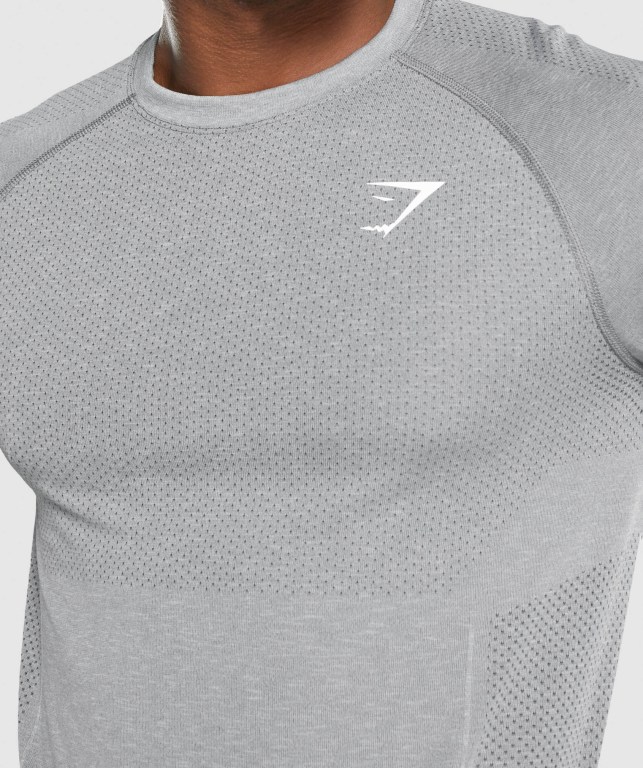 Gymshark Vital Light Seamless Tişört Erkek Gri | 427-GOINPV