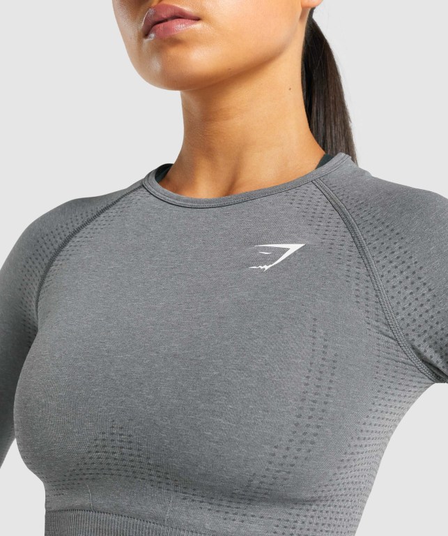 Gymshark Vital Seamless 2.0 Crop Top Tişörtü Kadın Gri | 327-UEKISY