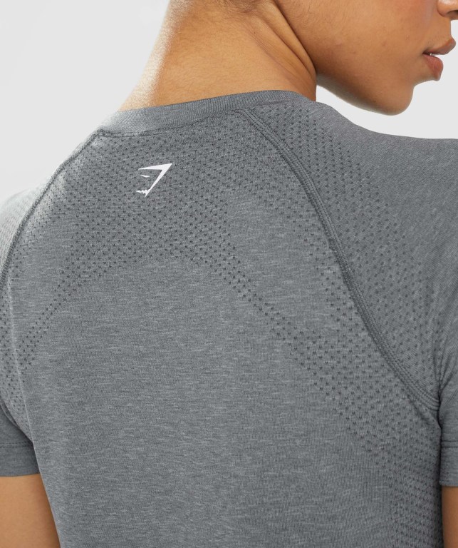 Gymshark Vital Seamless 2.0 Light Tişört Kadın Gri | 381-HTGIXB