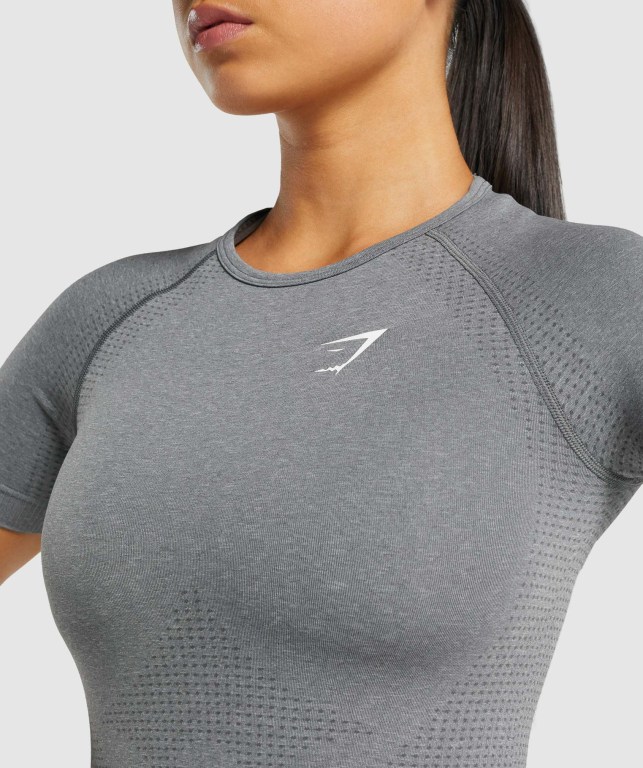 Gymshark Vital Seamless 2.0 Tişört Kadın Gri | 432-HUTXFS