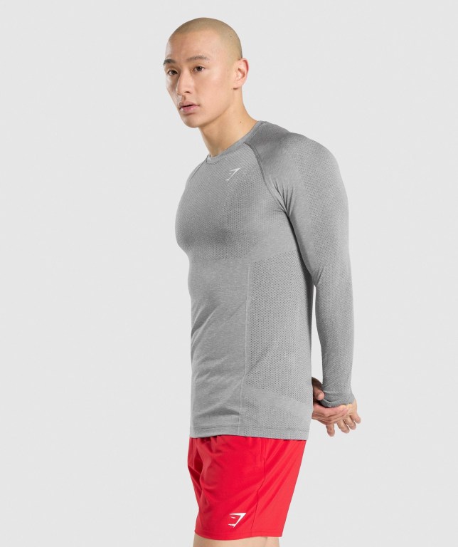 Gymshark Vital Seamless Tişört Erkek Gri | 741-ADRZTP