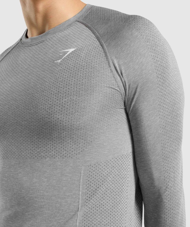 Gymshark Vital Seamless Tişört Erkek Gri | 741-ADRZTP